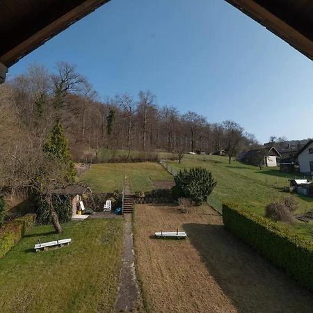 Ferienwohnung Am Waldrand Bad Driburg Exterior foto